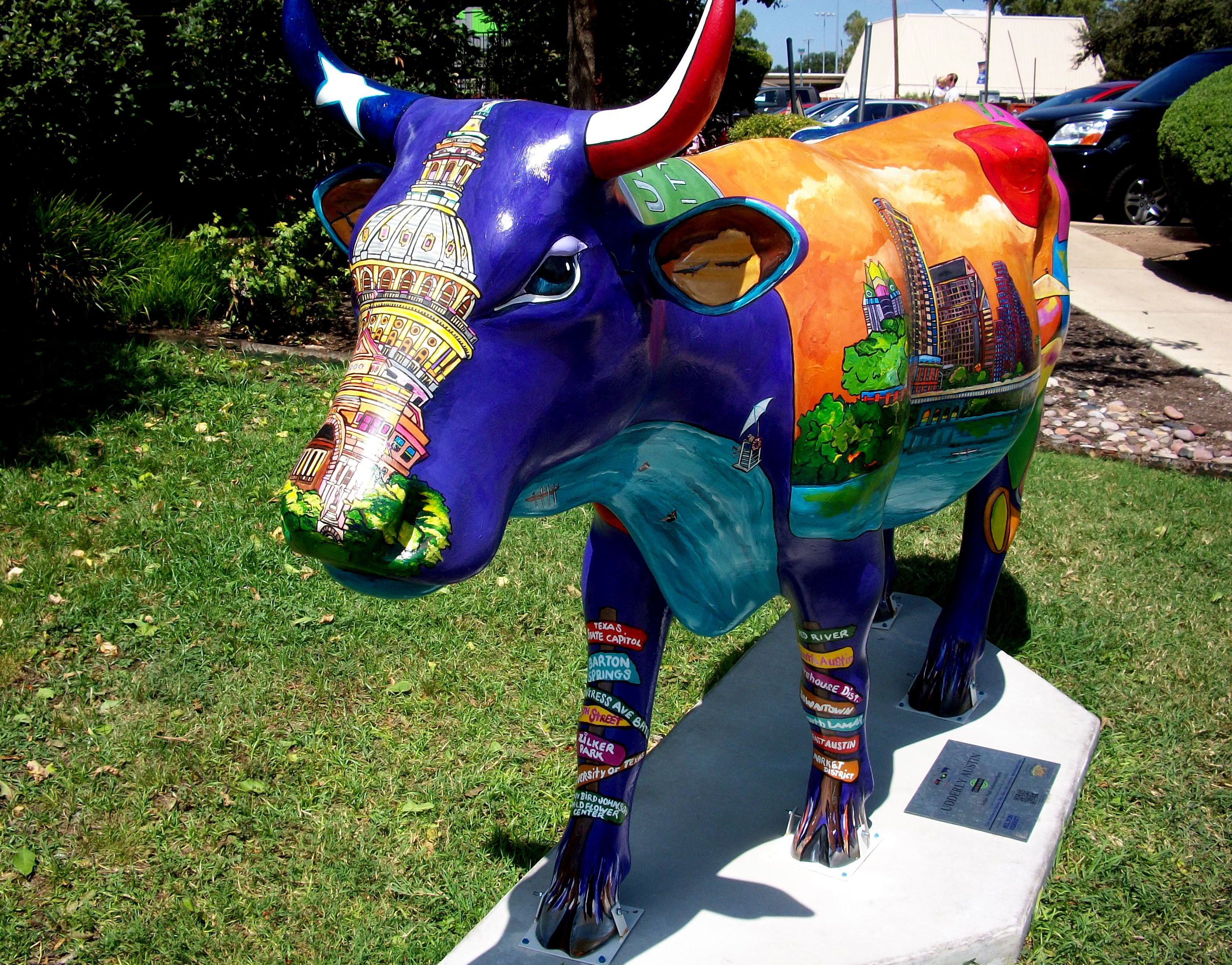 A cow grazing in an open East Texas pasture